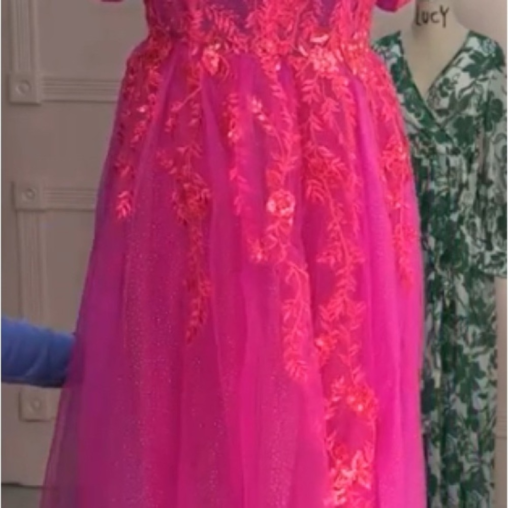 Vibrant Pink Gown with Embroidered Details - Picture 10 of 12